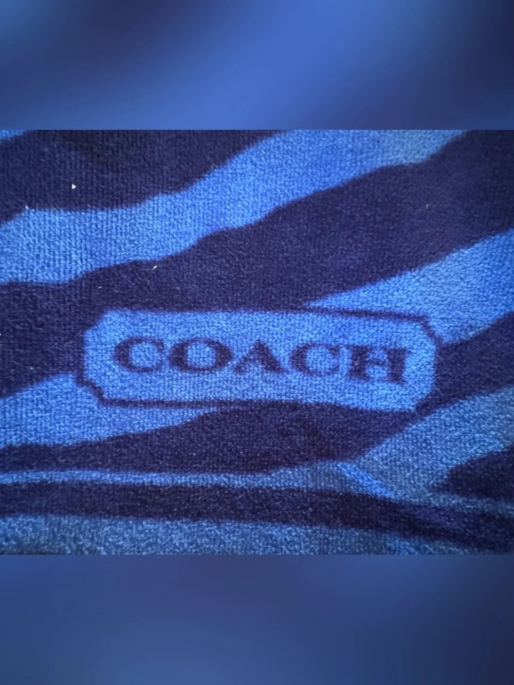 COACH Zebra Stripe Beach Towel